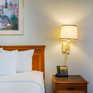 Suite mit Kingsize-Bett
